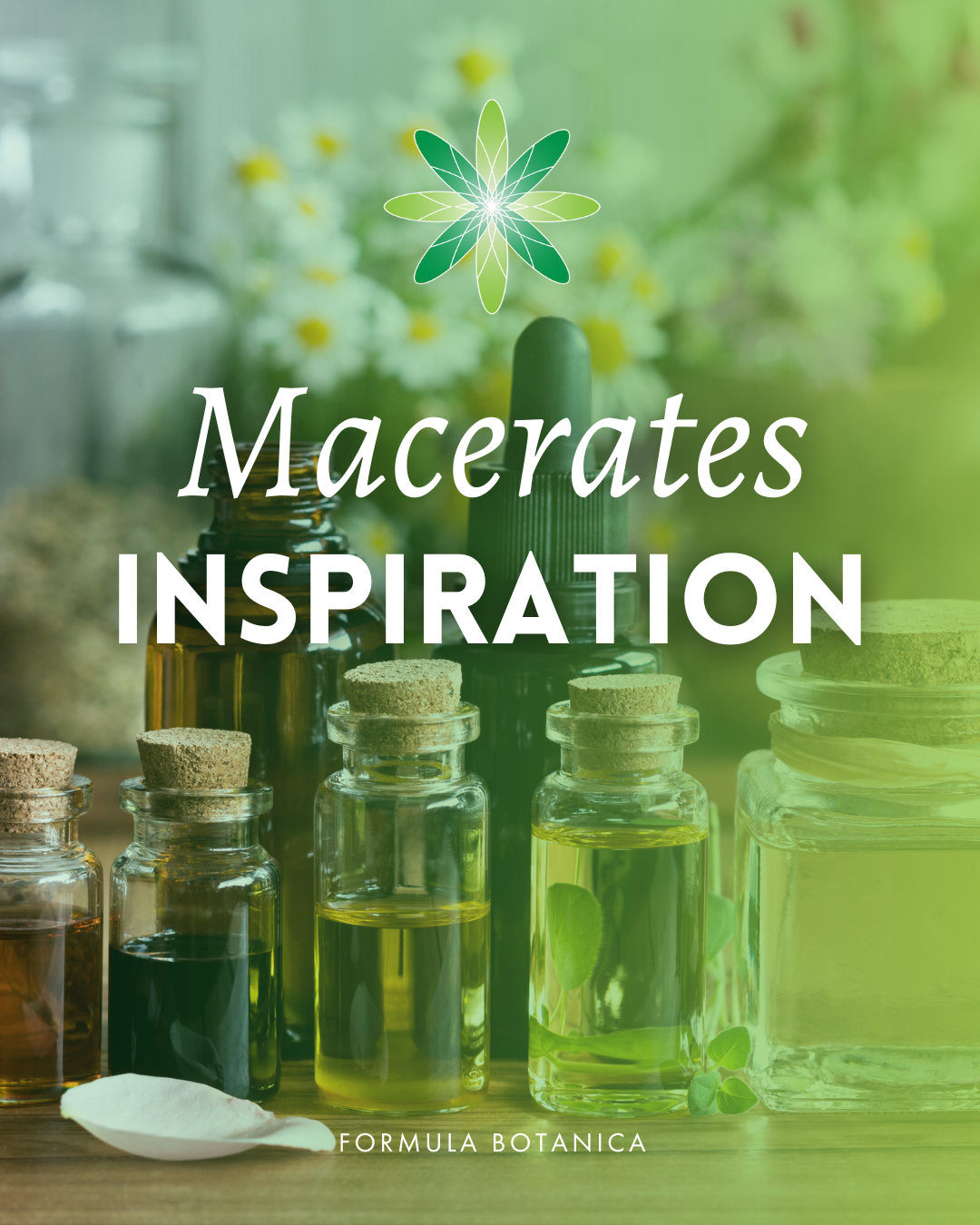 How to make macerated oils