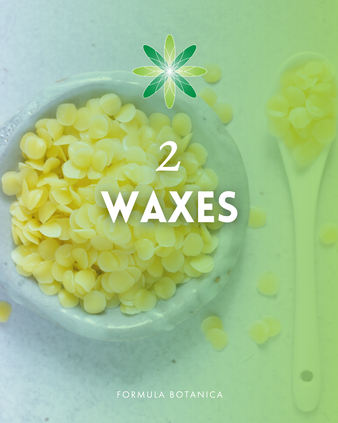 Natural formulation 101: Beginner’s guide to skincare ingredients