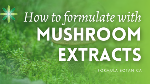 Your ultimate guide to formulating with mushroom extracts